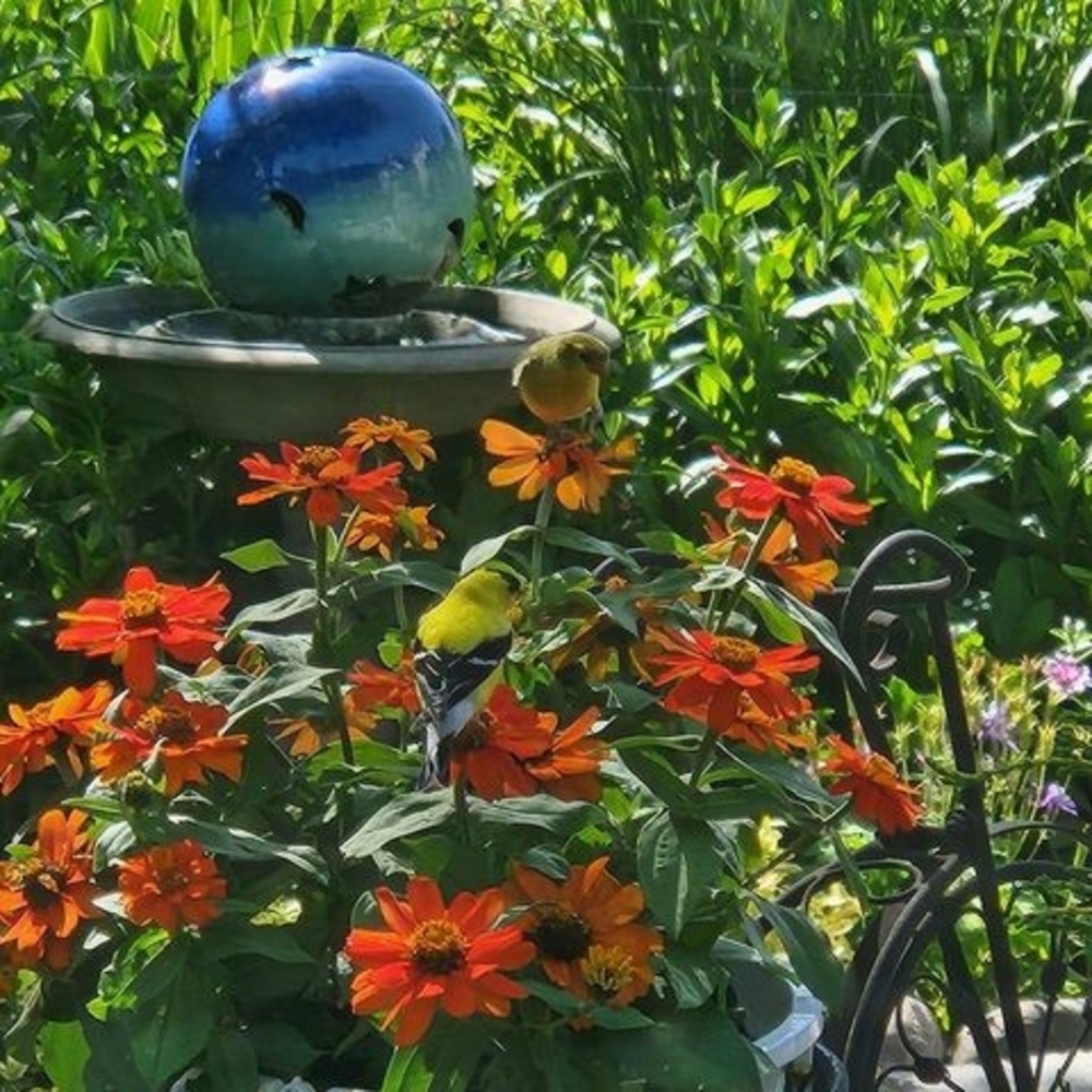 Meet your Posher, Daiva